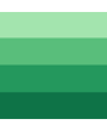 Permanent Green 200ml Series 6 #596