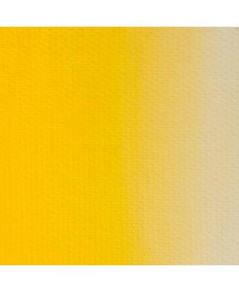 201 Cadmium Yellow Medium 46ml